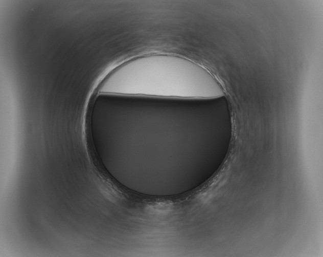 X0000110920196200906181223