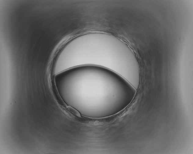 X0000110920197200906181223