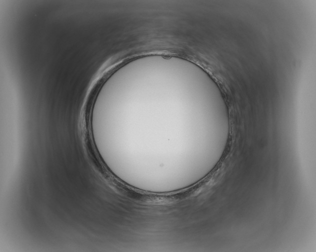 X0000110920198200906181223