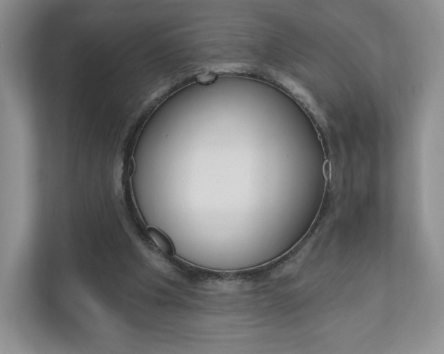 X0000110920201200906181222
