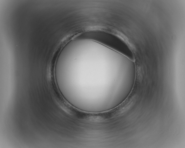 X0000110920203200906181222