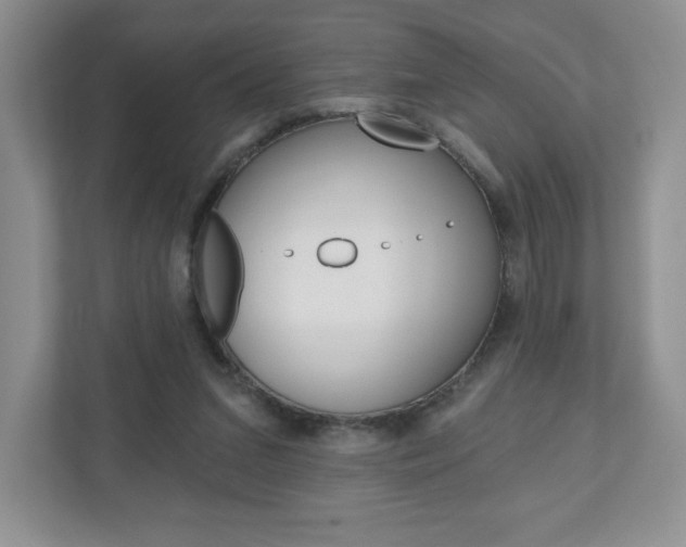 X0000110920207200906181222