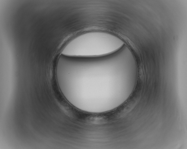 X0000110920208200906181222