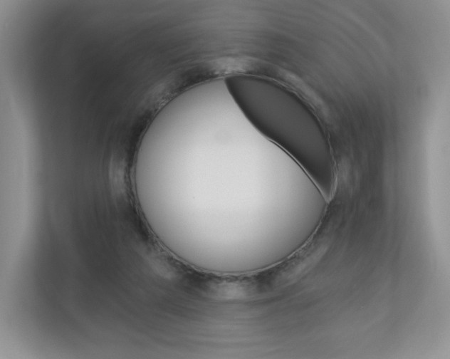 X0000110920209200906181222