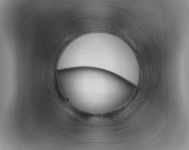 X0000110920211200906181222