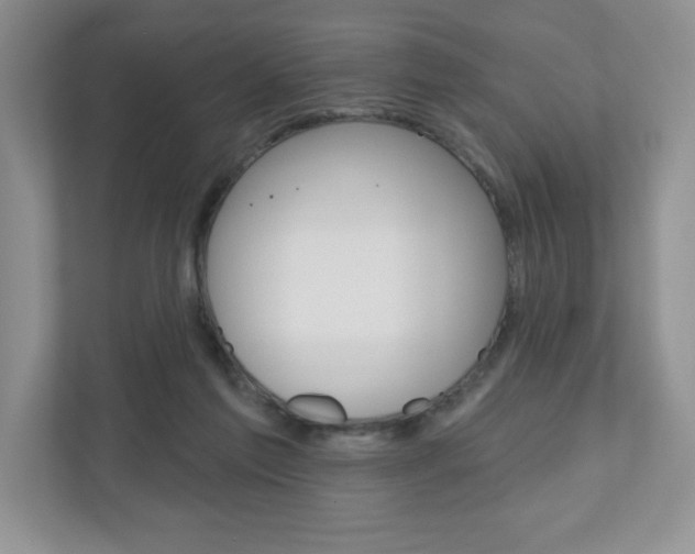 X0000110920213200906181222