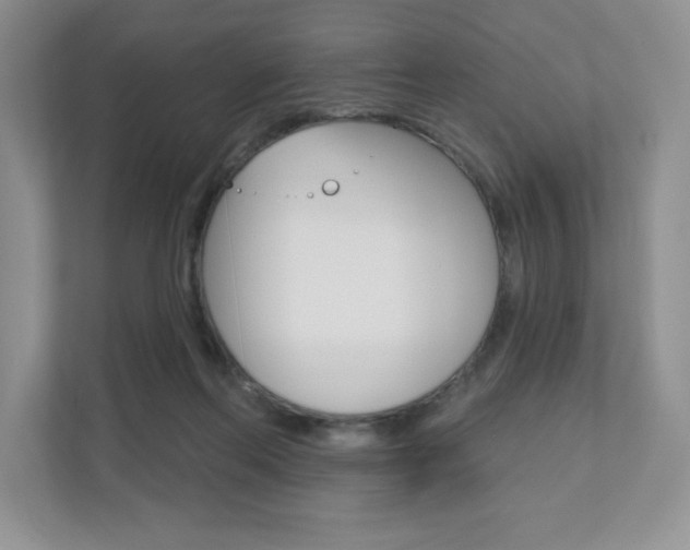 X0000110920214200906181222