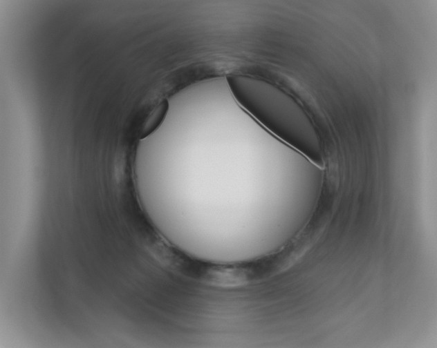 X0000110920221200906181222