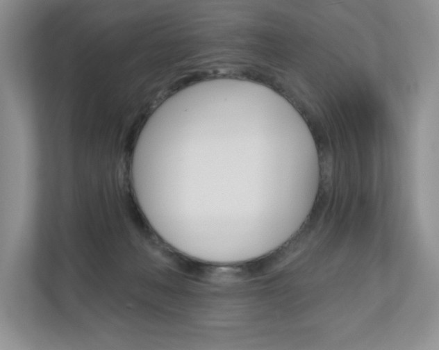 X0000110920222200906181222
