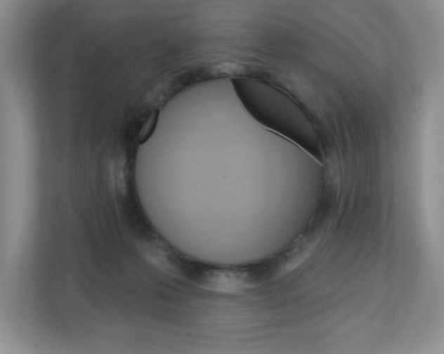 X0000110920223200906181222
