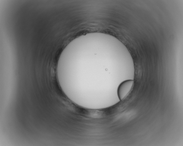 X0000110920226200906181222