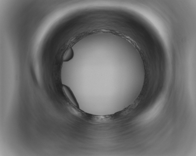 X0000110920239200906181222