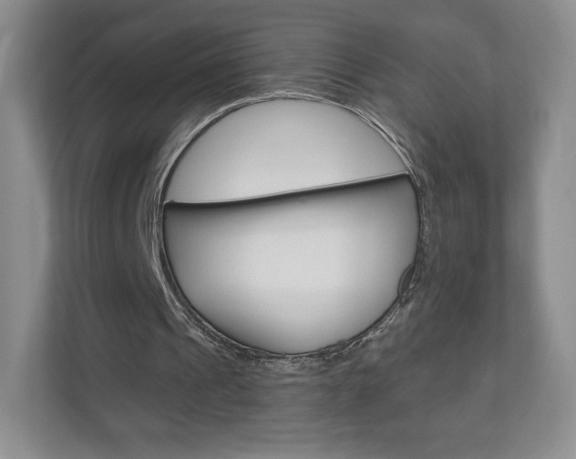 X0000110920241200906181221