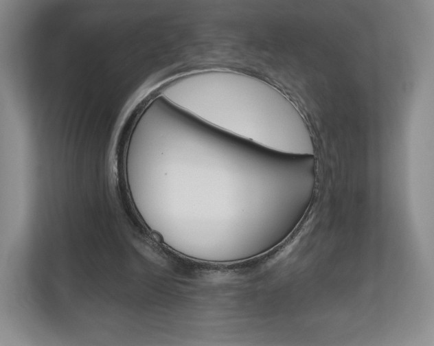 X0000110920246200906181221