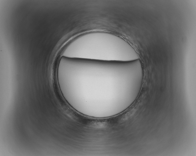 X0000110920247200906181221