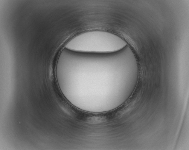 X0000110920251200906181222