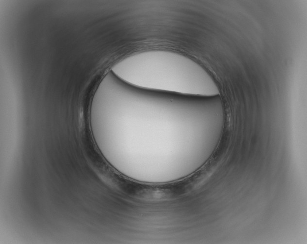 X0000110920254200906181222