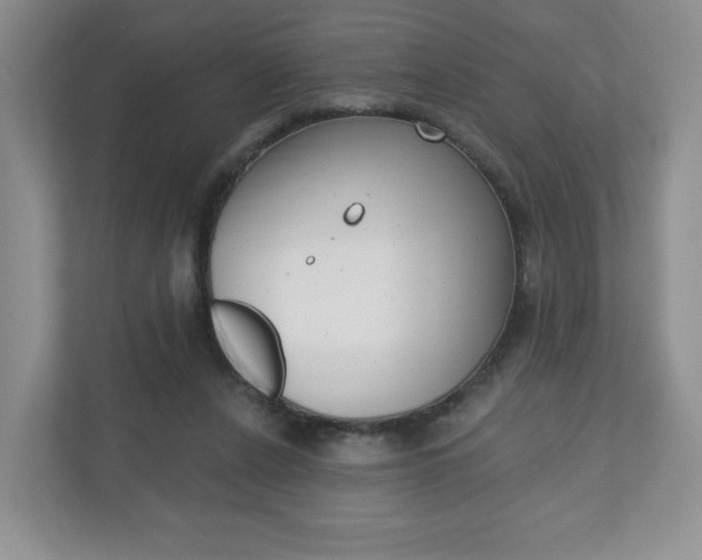 X0000110920256200906181222
