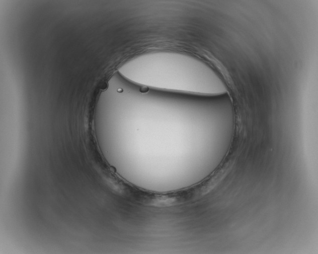 X0000110920257200906181222