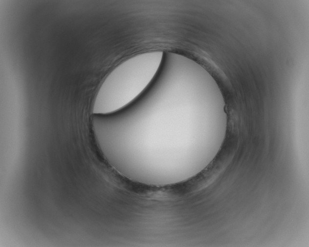 X0000110920259200906181222