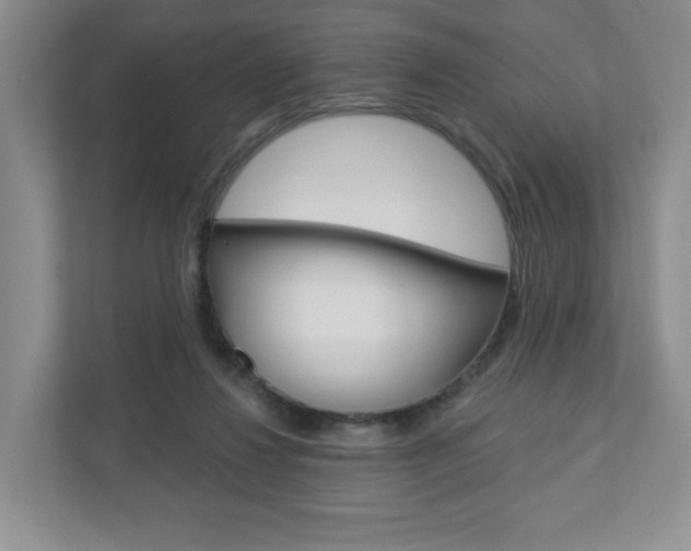 X0000110920260200906181222