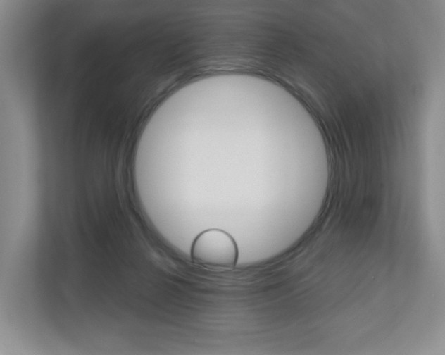X0000110920264200906181222