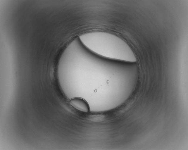 X0000110920266200906181222