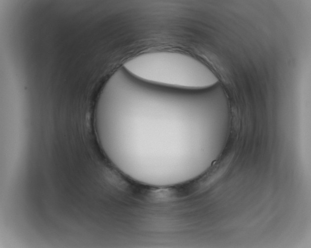 X0000110920269200906181222
