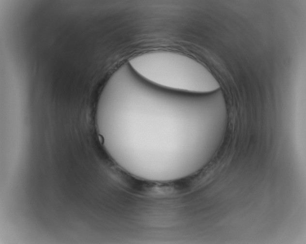 X0000110920270200906181222