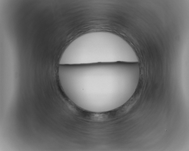 X0000110920277200906181222