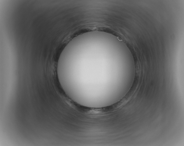 X0000110920280200906181222