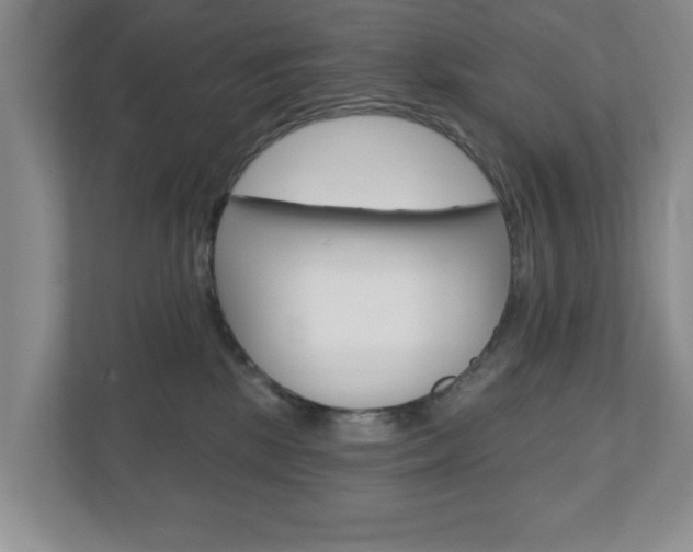 X0000110920281200906181222