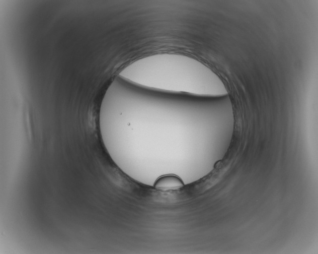 X0000110920282200906181222