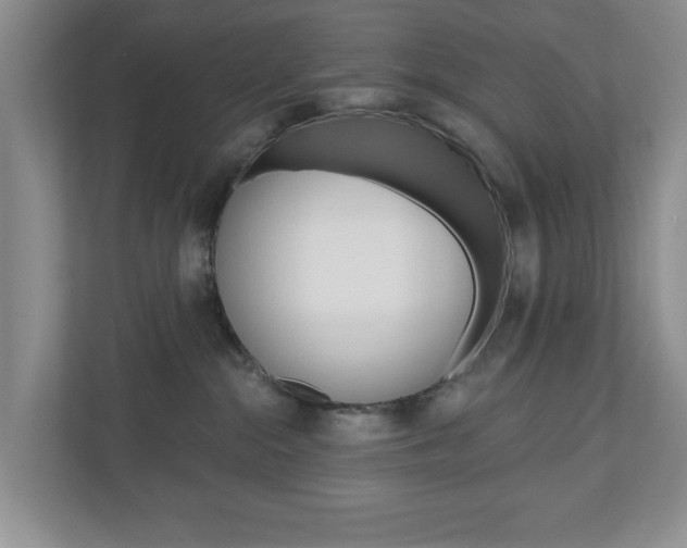 X0000110920284200906181222
