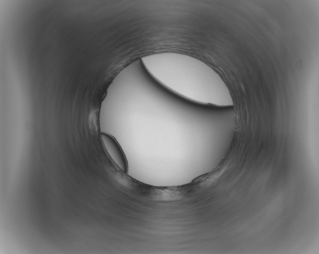 X0000110920286200906181222