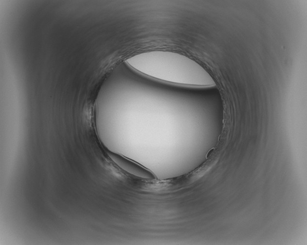 X0000110920288200906181222