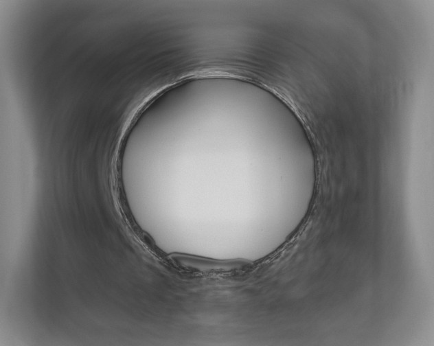 X0000110920289200906181221