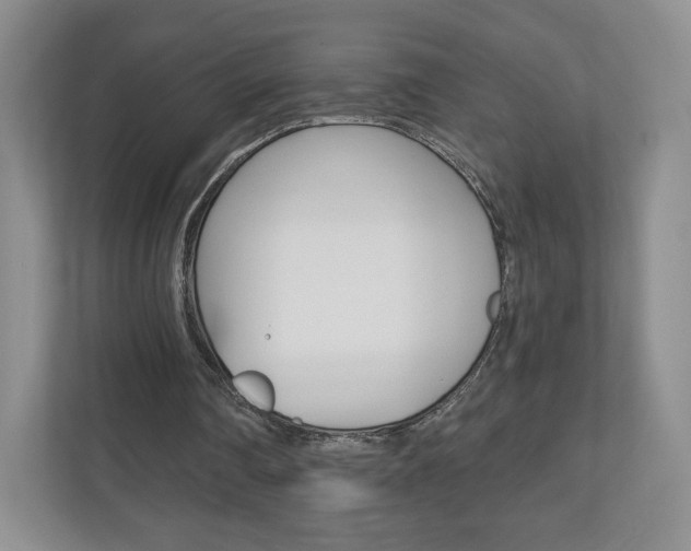 X0000110920290200906181221