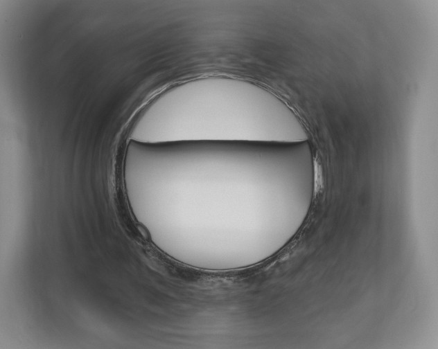 X0000110920291200906181221