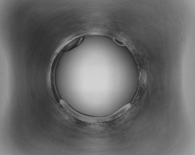 X0000110920292200906181221