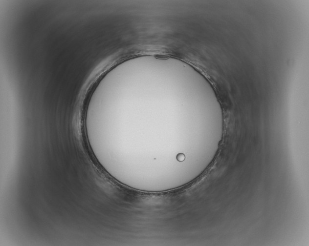 X0000110920293200906181221