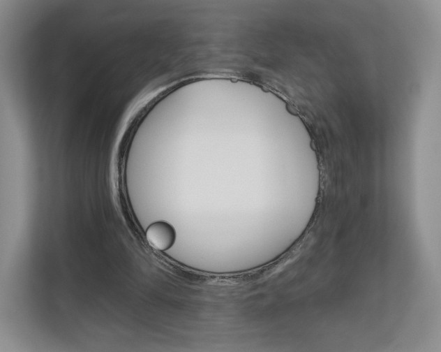 X0000110920294200906181221