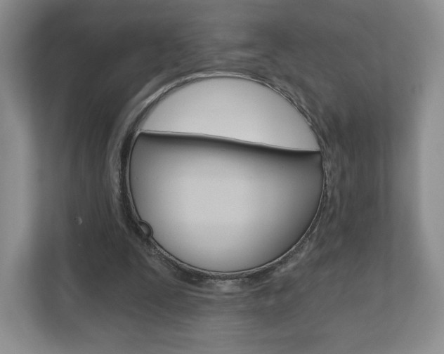 X0000110920295200906181221