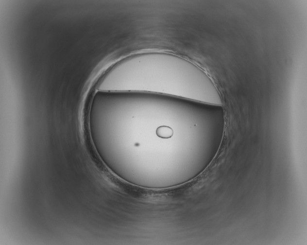 X0000110920296200906181221