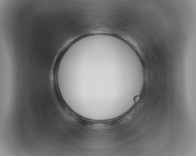 X0000110920298200906181221