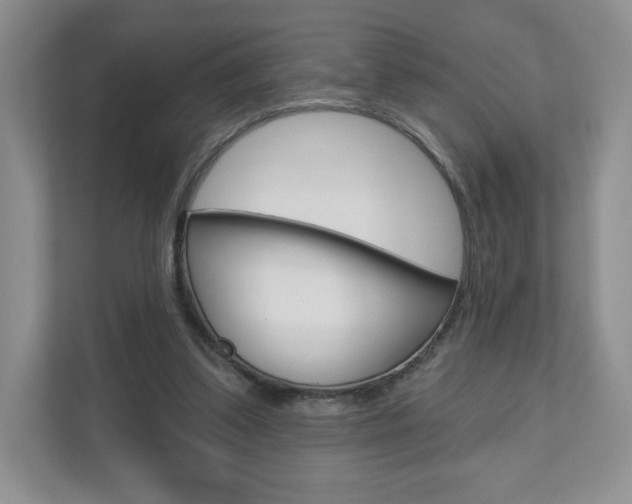 X0000110920299200906181221