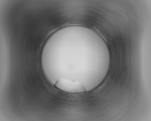 X0000110920301200906181221