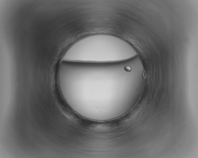 X0000110920303200906181221