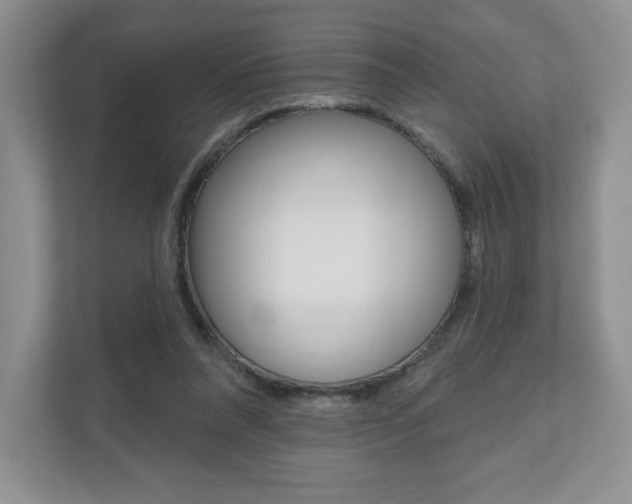 X0000110920304200906181221