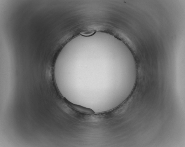 X0000110920305200906181221